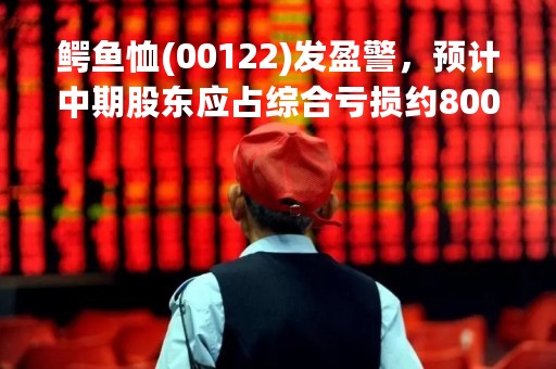 鳄鱼恤(00122)发盈警，预计中期股东应占综合亏损约8000万港元，同比盈转亏