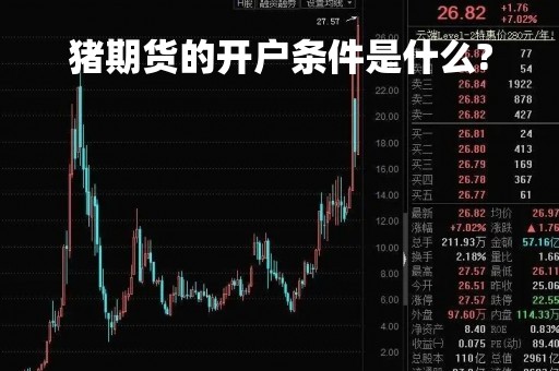 猪期货的开户条件是什么?