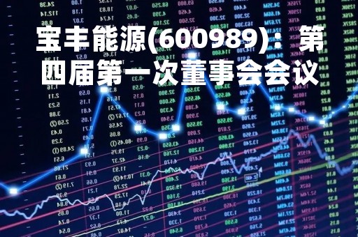 宝丰能源(600989)：第四届第一次董事会会议决议，审议《关于选举公司第四届董事会董事长的议案》等多项议案