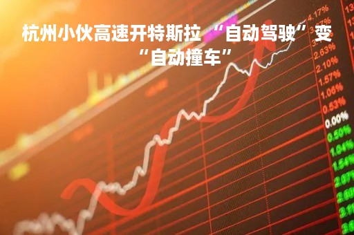 杭州小伙高速开特斯拉 “自动驾驶”变“自动撞车”