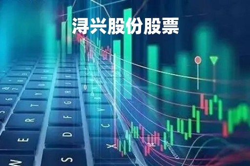 浔兴股份股票「浔兴股份股票历史行情查询」