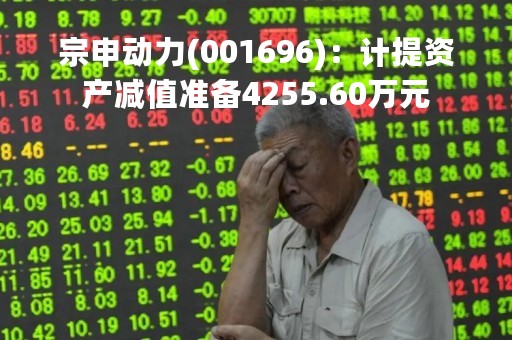 宗申动力(001696)：计提资产减值准备4255.60万元