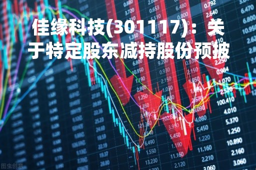佳缘科技(301117)：关于特定股东减持股份预披露的公告