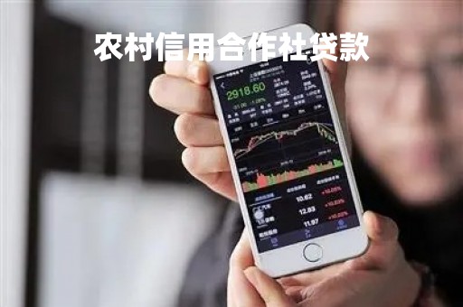 农村信用合作社贷款「农村信用合作社贷款需要什么手续」