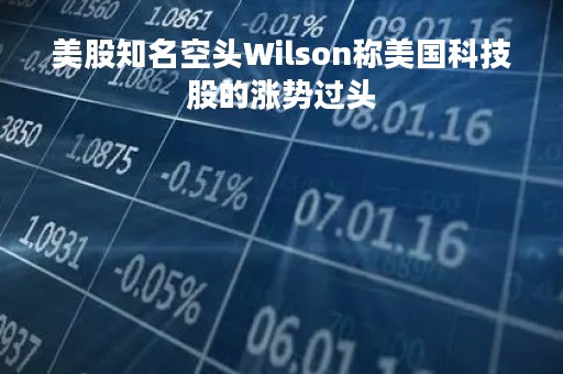 美股知名空头Wilson称美国科技股的涨势过头