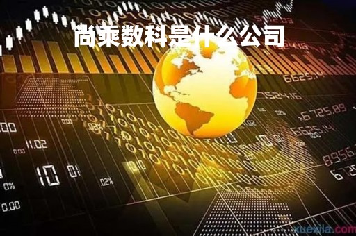 尚乘数科是什么公司「尚乘数科是什么公司下支残疾人绥阳!县有哪些补」