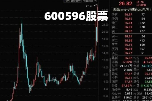 600596股票