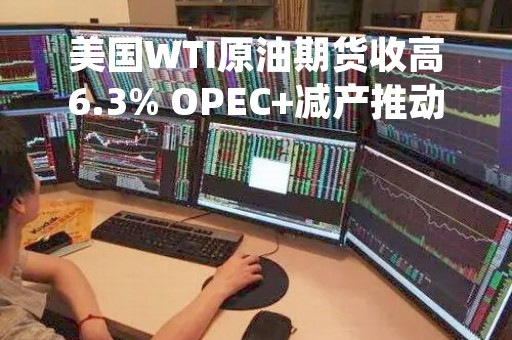 美国WTI原油期货收高6.3% OPEC+减产推动油价攀升