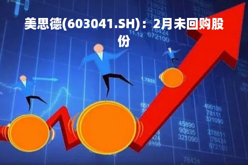 美思德(603041.SH)：2月未回购股份