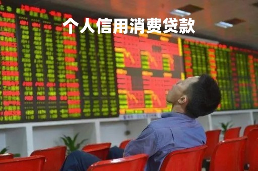个人信用消费贷款「个人消费信用贷款」