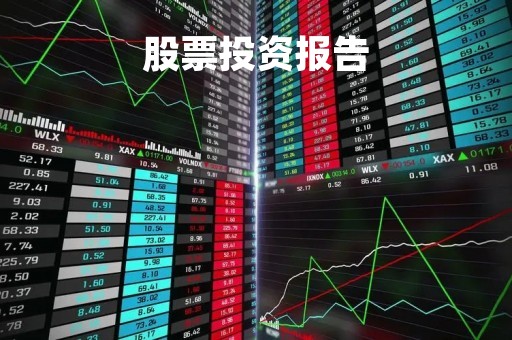 股票投资报告