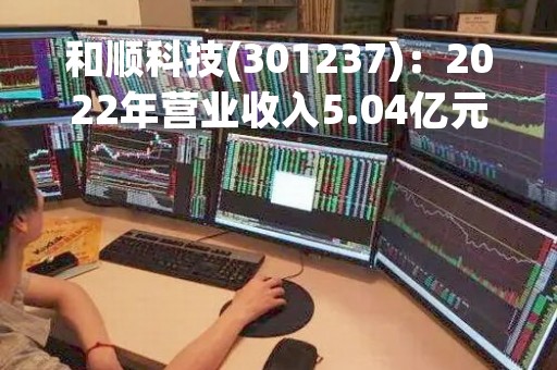 和顺科技(301237)：2022年营业收入5.04亿元，与上期同比减少21.28%