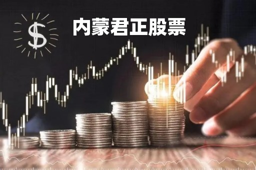 内蒙君正股票「内蒙君正股票怎么样」