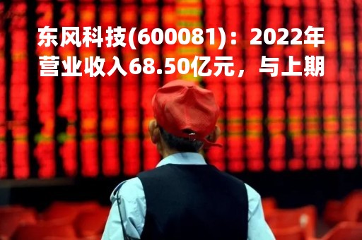 东风科技(600081)：2022年营业收入68.50亿元，与上期同比减少12.86%