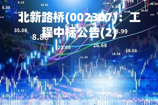 北新路桥(002307)：工程中标公告(2)