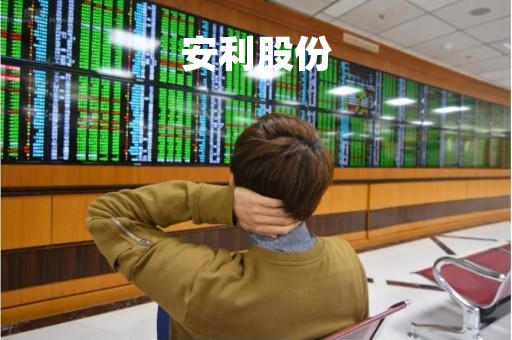 安利股份「安利股份公司简介」