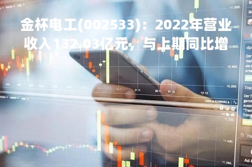 金杯电工(002533)：2022年营业收入132.03亿元，与上期同比增加2.89%