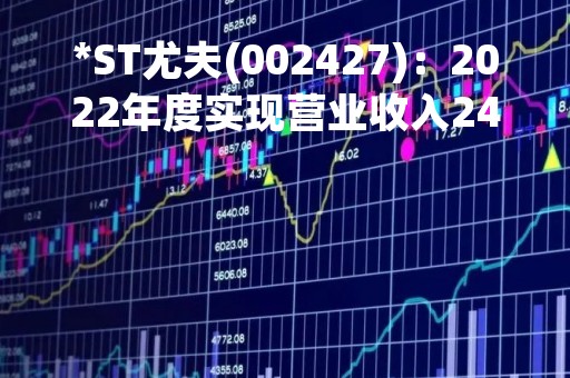 *ST尤夫(002427)：2022年度实现营业收入24.47亿元，同比减少15.53%