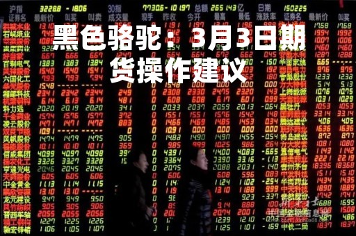 黑色骆驼：3月3日期货操作建议
