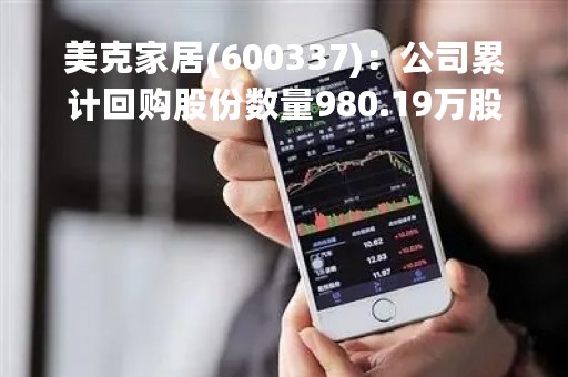美克家居(600337)：公司累计回购股份数量980.19万股，已支付资金总额约2836.39万元