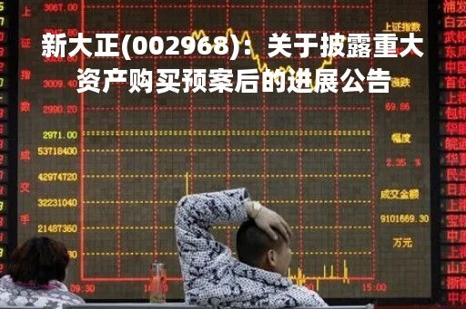 新大正(002968)：关于披露重大资产购买预案后的进展公告