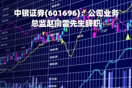 中银证券(601696)：公司业务总监赵向雷先生辞职
