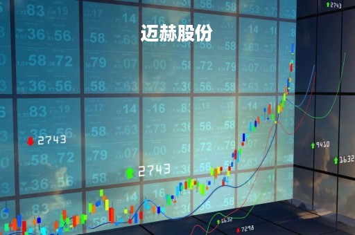 迈赫股份「迈赫股份是国企吗」