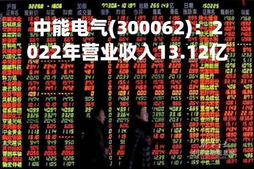 中能电气(300062)：2022年营业收入13.12亿元，与上期同比增加27.45%
