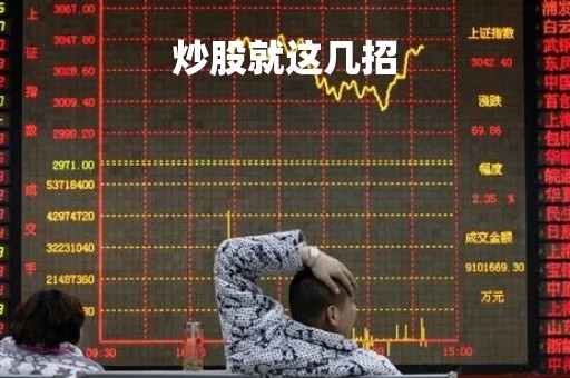 炒股就这几招「炒股就这几招在线阅读」