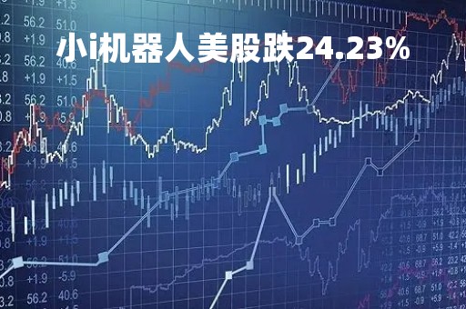 小i机器人美股跌24.23%