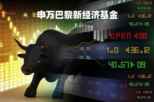 申万巴黎新经济基金「申万巴黎新经济基金净值310358」
