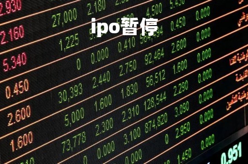 ipo暂停「震坤行ipo暂停」
