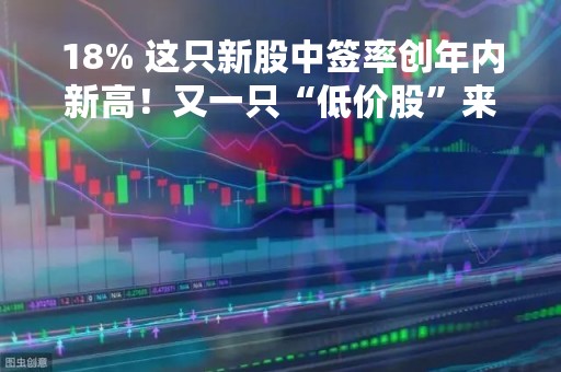 18% 这只新股中签率创年内新高！又一只“低价股”来了 曾下调发行底价