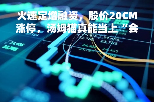 火速定增融资，股价20CM涨停，汤姆猫真能当上“会聊天的汤姆猫”？