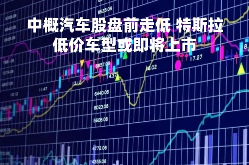 中概汽车股盘前走低 特斯拉低价车型或即将上市