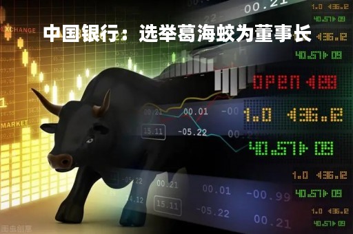 中国银行：选举葛海蛟为董事长