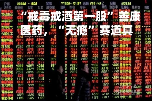 “戒毒戒酒第一股”善康医药，“无瘾”赛道真能成功？