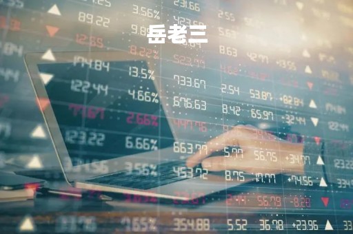 岳老三「岳老三扮演者」