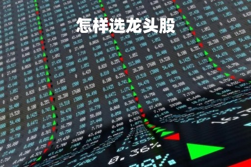 怎样选龙头股「怎样选好股票」