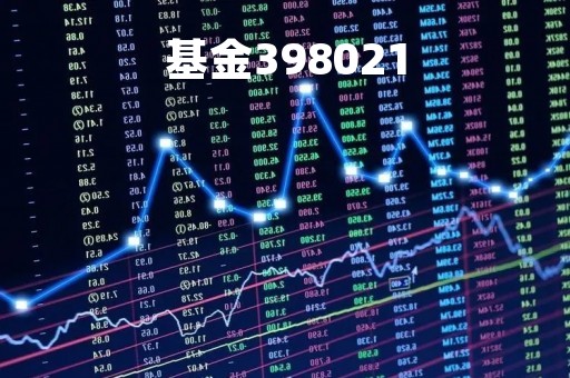基金398021「基金398021分红」