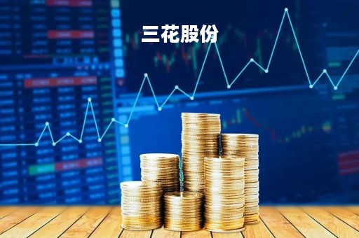 三花股份「三花股份的票据池授信案例」
