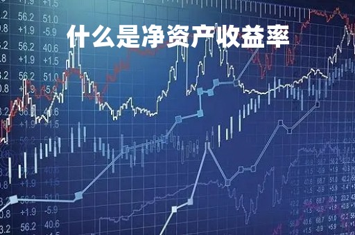 什么是净资产收益率「什么是年化收益率」