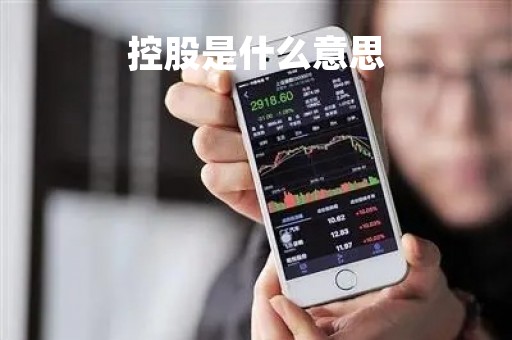 控股是什么意思「成立控股公司的好处」