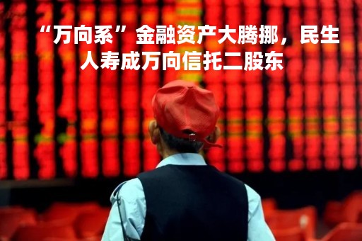 “万向系”金融资产大腾挪，民生人寿成万向信托二股东