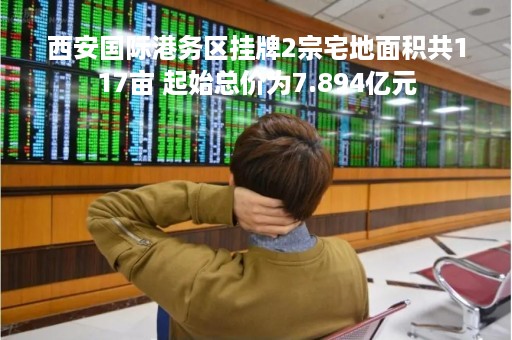 西安国际港务区挂牌2宗宅地面积共117亩 起始总价为7.894亿元