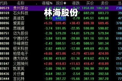 林海股份「林海股份董事长孙」