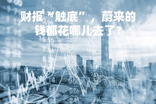 财报“触底”，蔚来的钱都花哪儿去了？