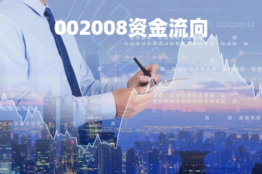 002008资金流向