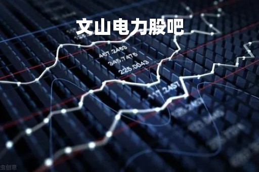 文山电力股吧「文山电力」