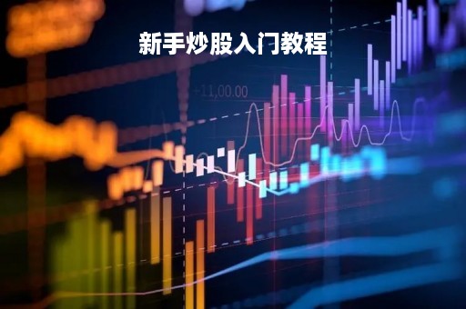 新手炒股入门教程「新手炒股入门教程 如何学会炒股」